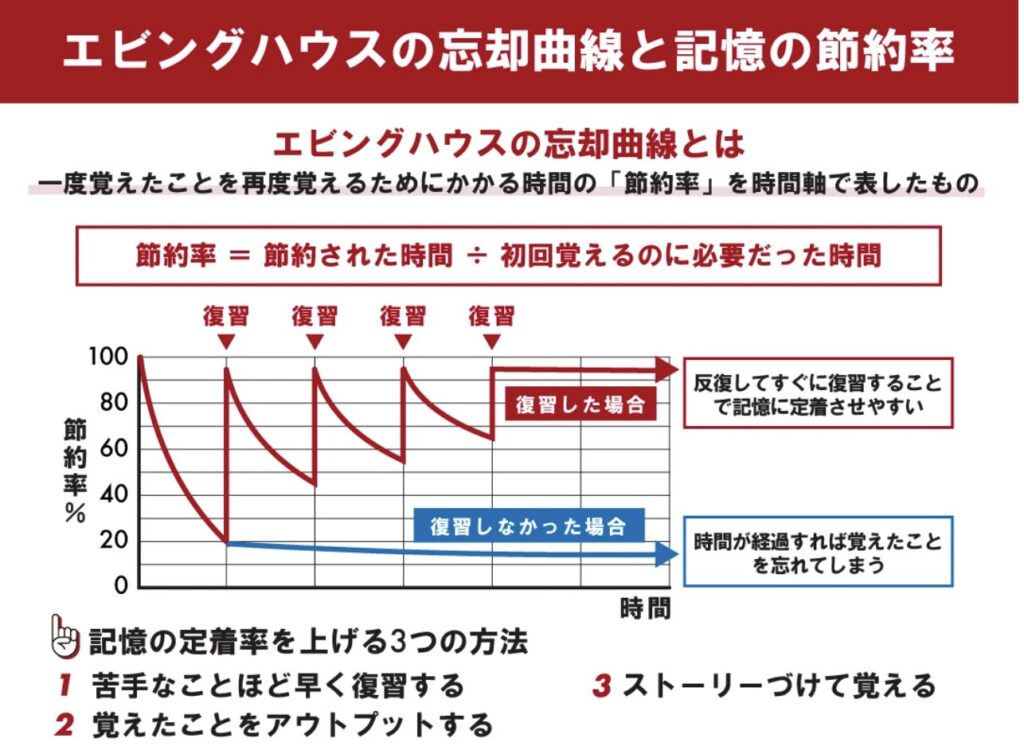 エビングハウスの忘却曲線 武蔵野個別指導塾