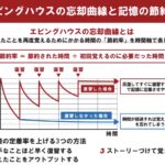 | 武蔵野個別指導塾 エビングハウスの忘却曲線 武蔵野個別指導塾