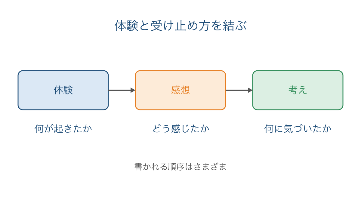 図1　体験から感想を経て考えへつなげる読み取り