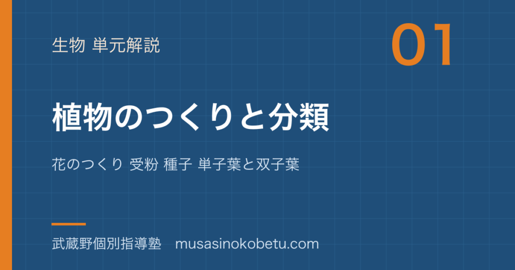 【中学受験理科】植物のつくりと分類を図解で総まとめ—花のつくり 受粉 種子 単子葉と双子葉のアイキャッチ 武蔵野個別指導塾