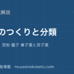 中学受験理科植物のつくりと分類を図解で総まとめ花のつくり 受粉 種子 単子葉と双子葉のアイキャッチ | 武蔵野個別指導塾 【中学受験理科】植物のつくりと分類を図解で総まとめ—花のつくり 受粉 種子 単子葉と双子葉のアイキャッチ 武蔵野個別指導塾