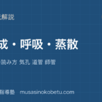 【中学受験理科】光合成 呼吸 蒸散を図解で総まとめ—対照実験の読み方 気孔 道管 師管のアイキャッチ 武蔵野個別指導塾