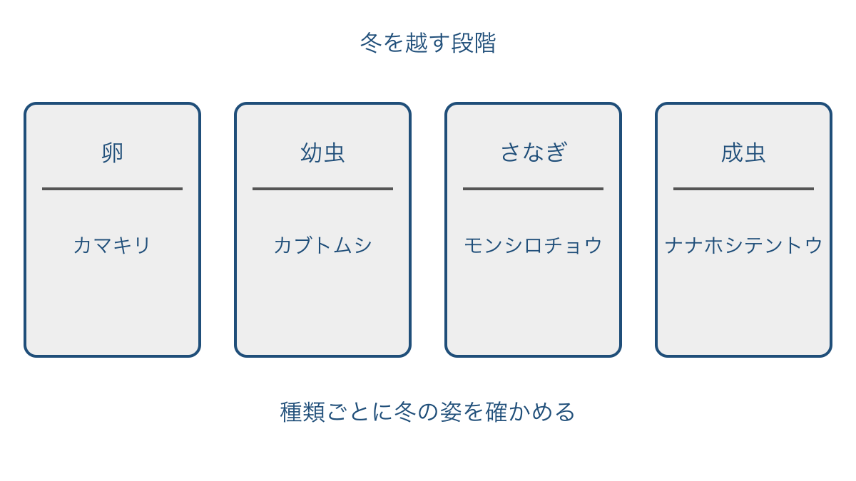 図3 代表的なこん虫を冬越しの段階ごとに並べた図