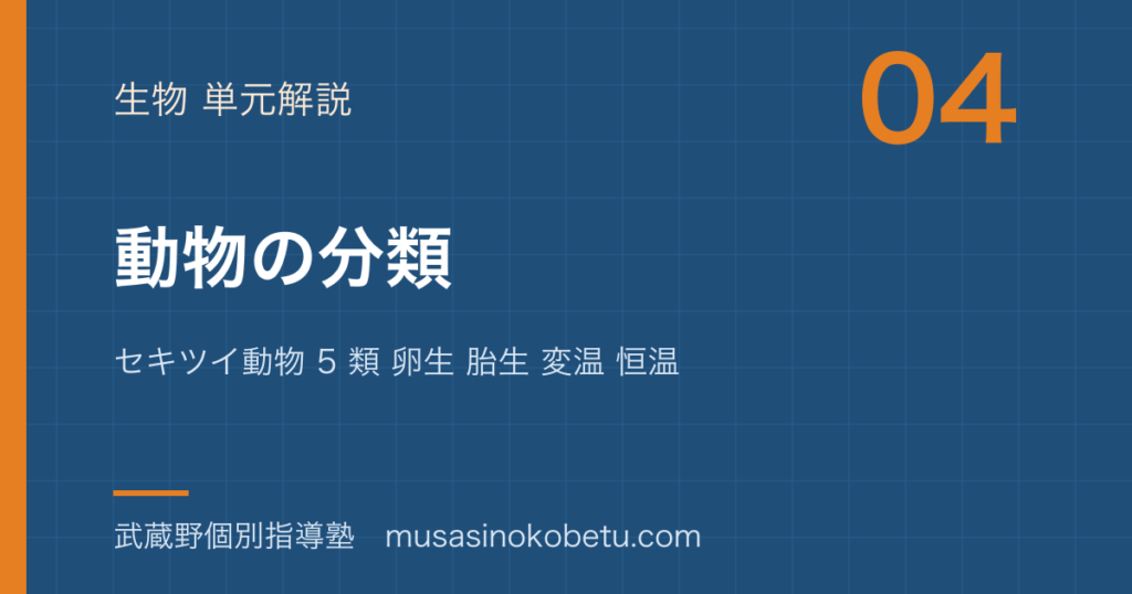 中学受験理科動物の分類を図解で総まとめセキツイ動物 5 類 卵生 胎生 変温 恒温のアイキャッチ | 武蔵野個別指導塾 【中学受験理科】動物の分類を図解で総まとめ—セキツイ動物 5 類 卵生 胎生 変温 恒温のアイキャッチ 武蔵野個別指導塾