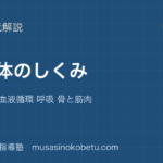 中学受験理科人の体のしくみを図解で総まとめ消化 吸収 血液循環 呼吸 骨と筋肉のアイキャッチ | 武蔵野個別指導塾 【中学受験理科】人の体のしくみを図解で総まとめ—消化 吸収 血液循環 呼吸 骨と筋肉のアイキャッチ 武蔵野個別指導塾