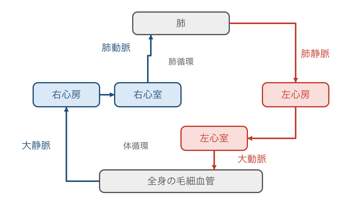 図2 心臓の四つの部屋を通る肺循環と体循環の順序