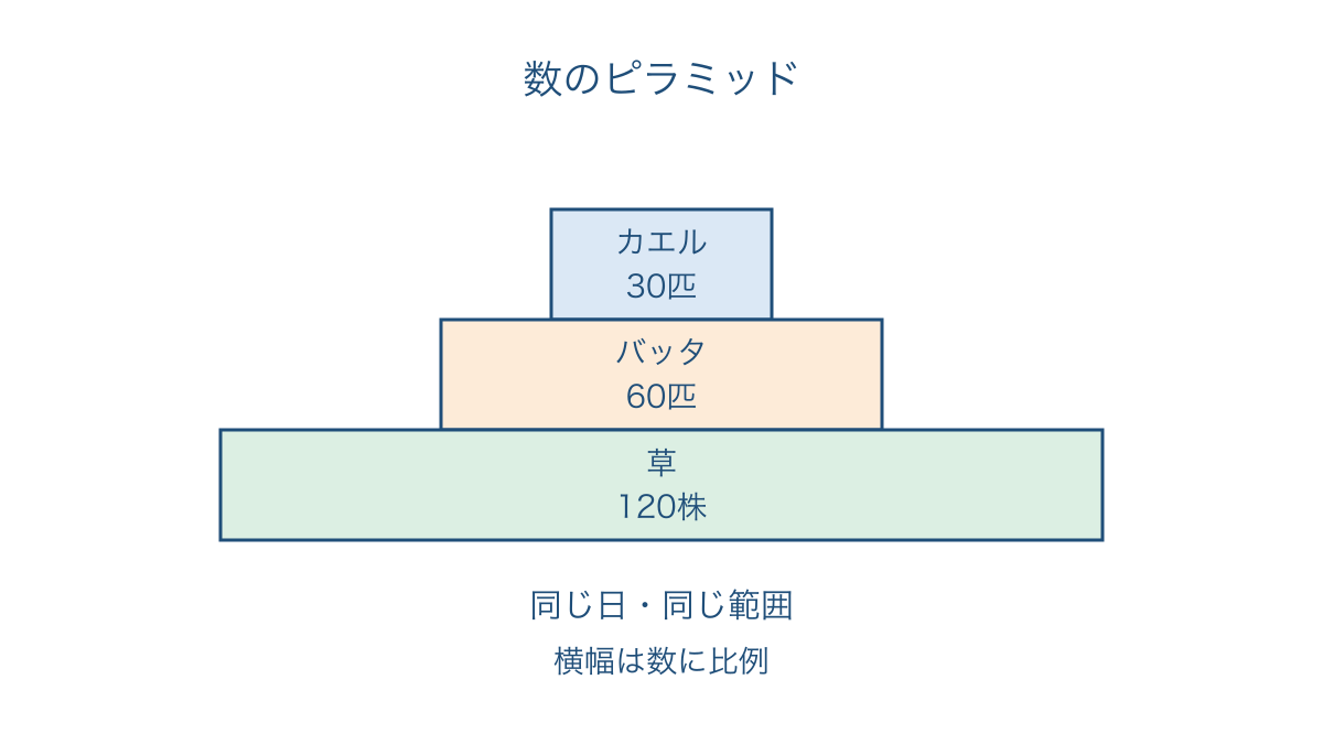 図2 同じ草地で数えた草と動物の数のピラミッド