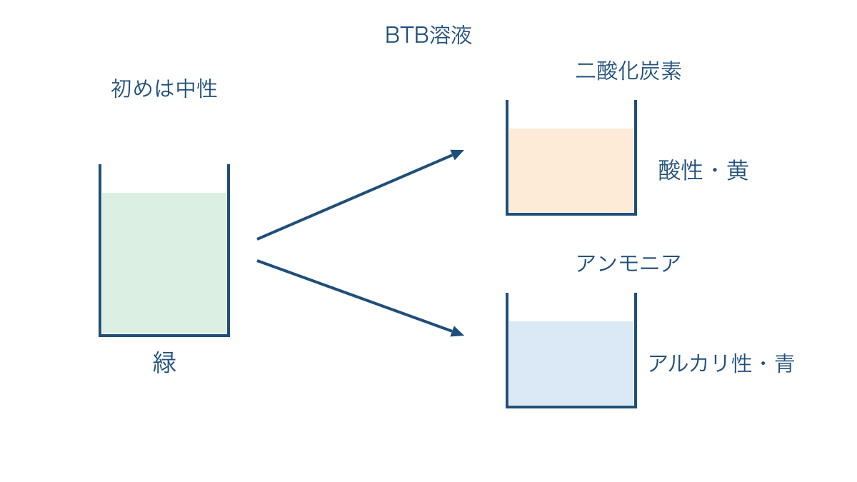 図3 中性の水に各気体を溶かしたときのBTB溶液の変化