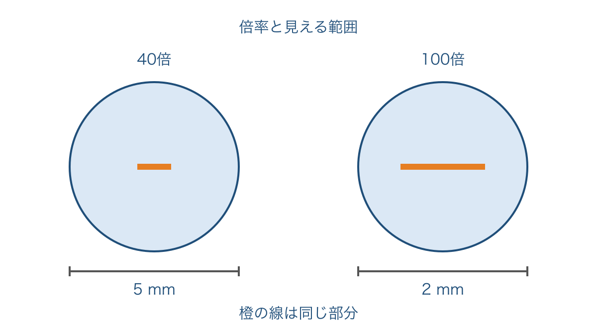 図2 倍率を上げると像が大きくなり視野が狭まる関係