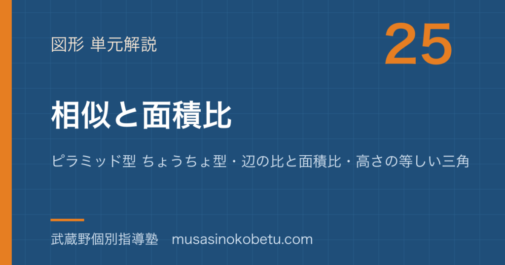 【中学受験算数】相似と面積比を図解で総まとめ—ピラミッド型 ちょうちょ型・辺の比と面積比・高さの等しい三角形のアイキャッチ 武蔵野個別指導塾