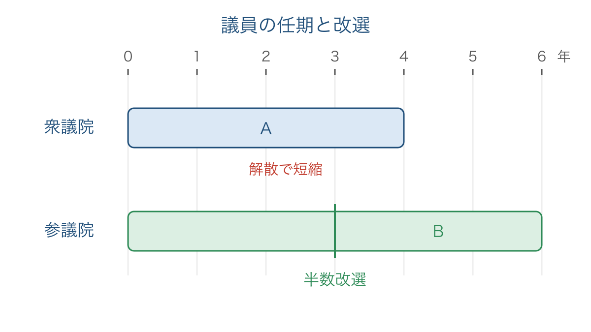 図2　衆議院と参議院の任期と半数改選の間隔の比較