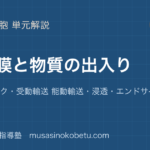 生物生体膜と物質の出入りを図解で総まとめ流動モザイク受動輸送 能動輸送浸透エンドサイトーシスのアイキャッチ | 武蔵野個別指導塾 【生物】生体膜と物質の出入りを図解で総まとめ—流動モザイク・受動輸送 能動輸送・浸透・エンドサイトーシスのアイキャッチ 武蔵野個別指導塾