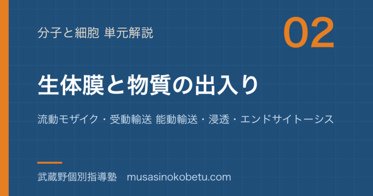 【生物】生体膜と物質の出入りを図解で総まとめ—流動モザイク・受動輸送 能動輸送・浸透・エンドサイトーシスのアイキャッチ