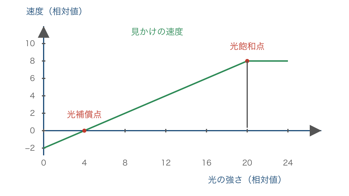 図2 光の強さに対する見かけの光合成速度の変化