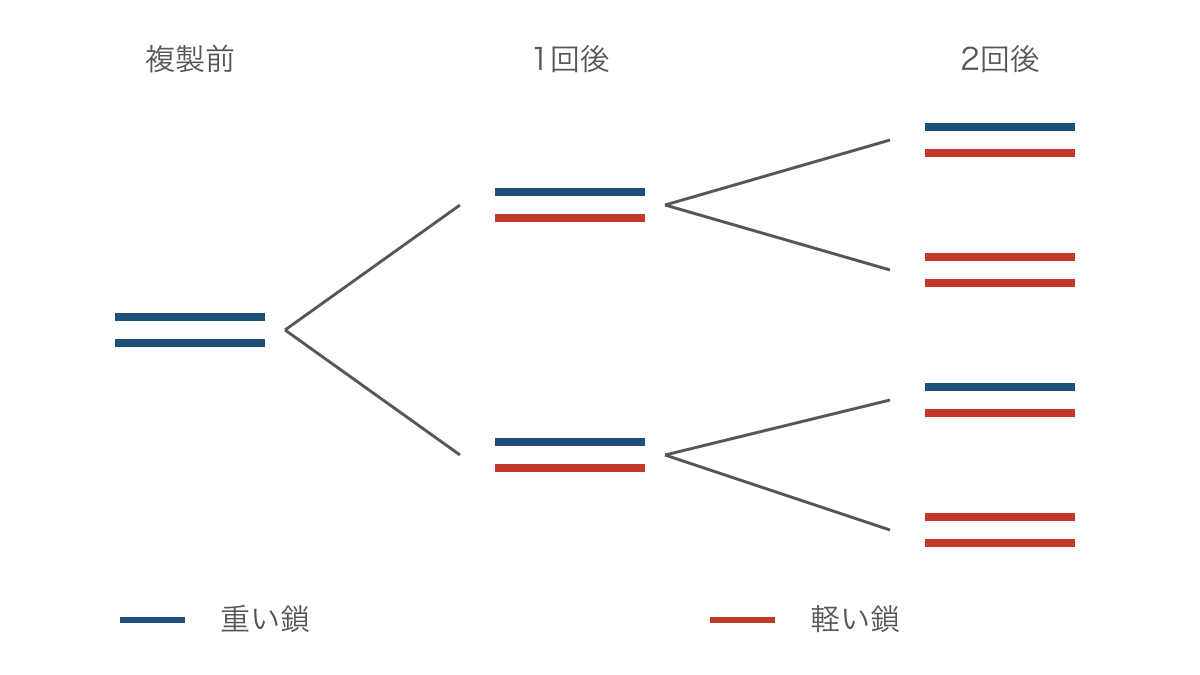 図2　重い鎖を追って確かめる半保存的複製の世代変化