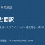 生物転写と翻訳を図解で総まとめmRNA の合成スプライシング遺伝暗号tRNA とリボソームのアイキャッチ | 武蔵野個別指導塾 【生物】転写と翻訳を図解で総まとめ—mRNA の合成・スプライシング・遺伝暗号・tRNA とリボソームのアイキャッチ 武蔵野個別指導塾