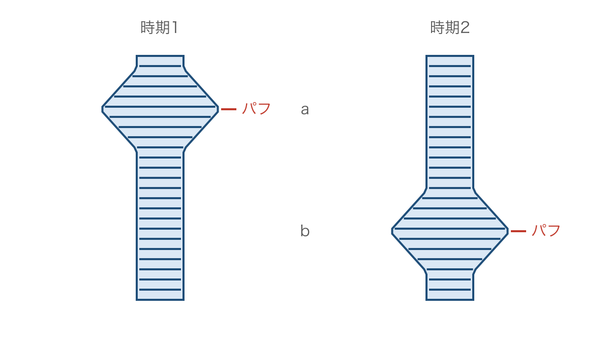 図3 時期によって活発な転写領域が移るだ腺染色体のパフ