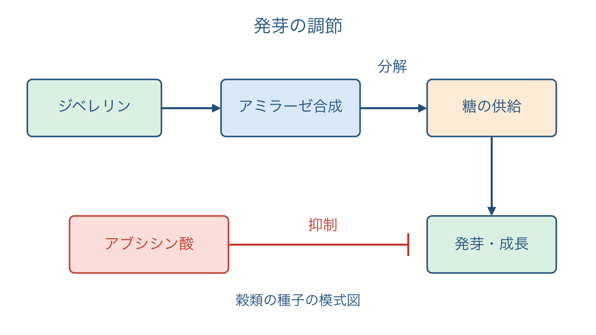 図1 ジベレリンとアブシシン酸による発芽の調節
