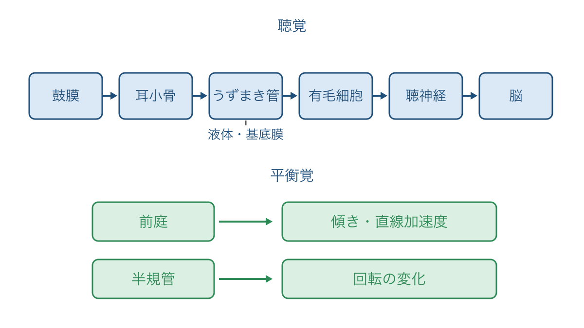 図2 音が伝わる順序と前庭・半規管の役割