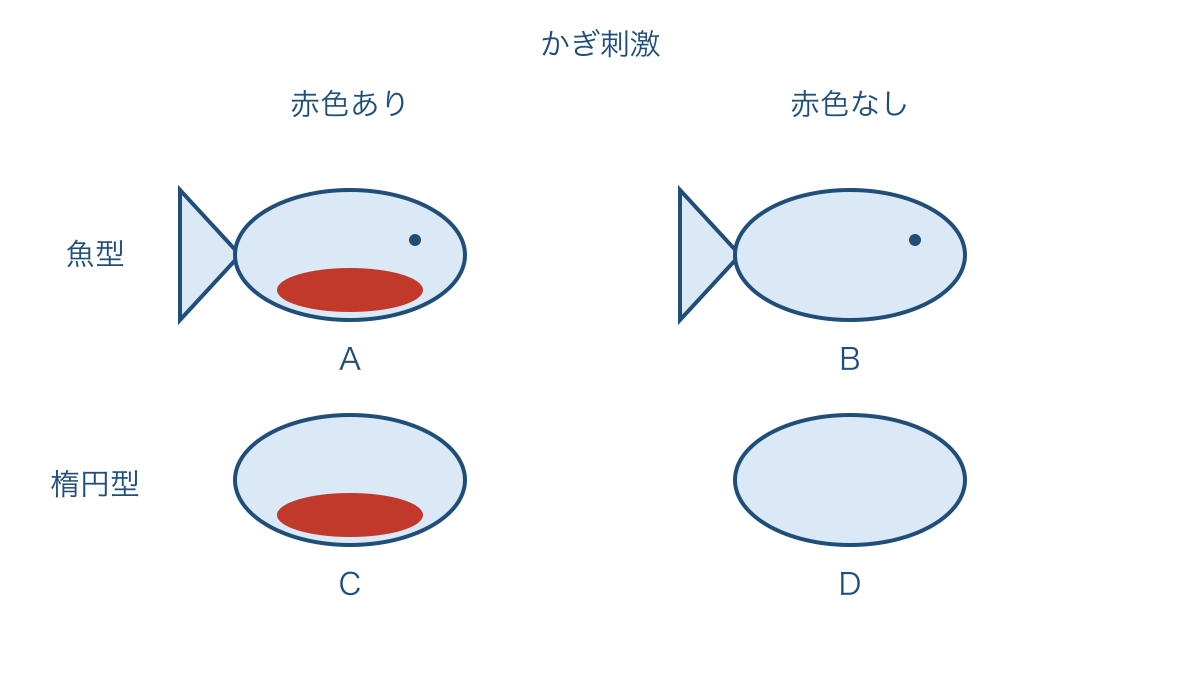 図1 模型の形と腹部の赤色を分けて比べる実験条件