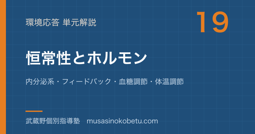 生物恒常性とホルモンを図解で総まとめ内分泌系フィードバック血糖調節体温調節のアイキャッチ | 武蔵野個別指導塾 【生物】恒常性とホルモンを図解で総まとめ—内分泌系・フィードバック・血糖調節・体温調節のアイキャッチ 武蔵野個別指導塾