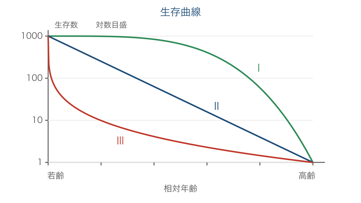図3 対数目盛で比べる3つの型の生存曲線