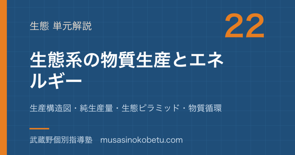 生物生態系の物質生産とエネルギーを図解で総まとめ生産構造図純生産量生態ピラミッド物質循環のアイキャッチ | 武蔵野個別指導塾 【生物】生態系の物質生産とエネルギーを図解で総まとめ—生産構造図・純生産量・生態ピラミッド・物質循環のアイキャッチ 武蔵野個別指導塾