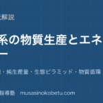 生物生態系の物質生産とエネルギーを図解で総まとめ生産構造図純生産量生態ピラミッド物質循環のアイキャッチ | 武蔵野個別指導塾 【生物】生態系の物質生産とエネルギーを図解で総まとめ—生産構造図・純生産量・生態ピラミッド・物質循環のアイキャッチ 武蔵野個別指導塾
