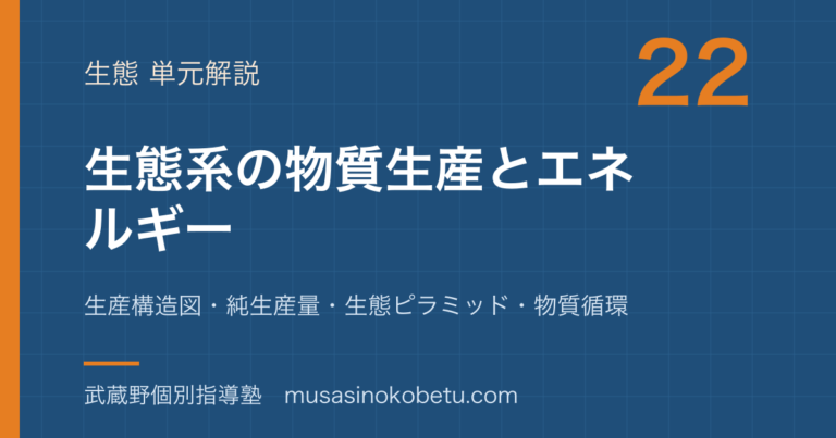 【生物】生態系の物質生産とエネルギーを図解で総まとめ—生産構造図・純生産量・生態ピラミッド・物質循環のアイキャッチ