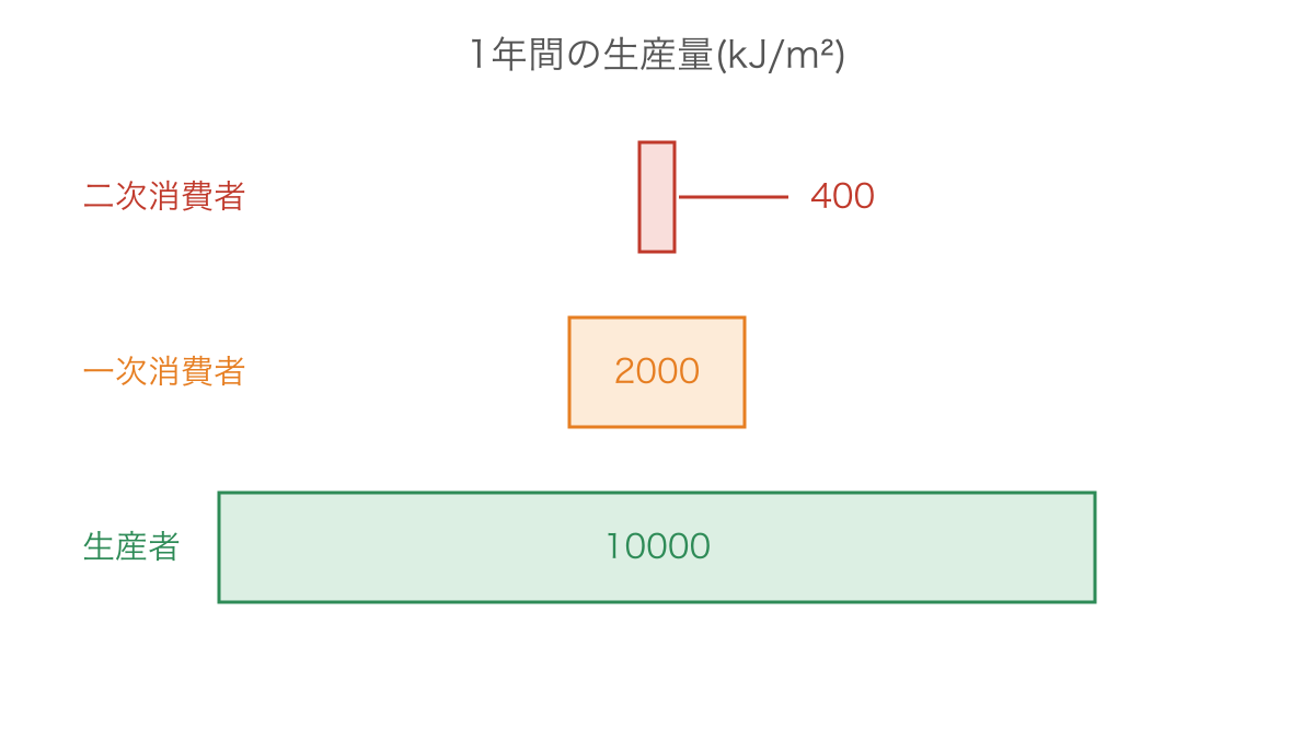 図2 同じ期間の生産量を横幅に比例させたエネルギーピラミッド