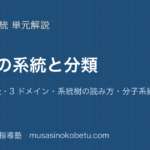 生物生物の系統と分類を図解で総まとめ分類の階級3 ドメイン系統樹の読み方分子系統学のアイキャッチ | 武蔵野個別指導塾 【生物】生物の系統と分類を図解で総まとめ—分類の階級・3 ドメイン・系統樹の読み方・分子系統学のアイキャッチ 武蔵野個別指導塾
