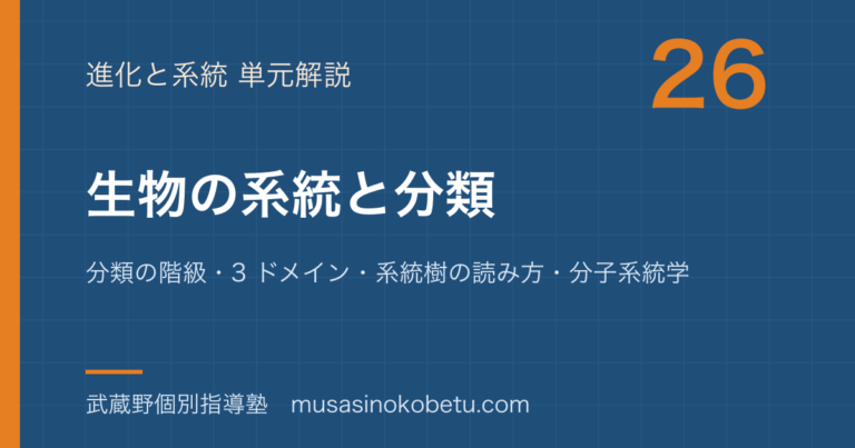 【生物】生物の系統と分類を図解で総まとめ—分類の階級・3 ドメイン・系統樹の読み方・分子系統学のアイキャッチ