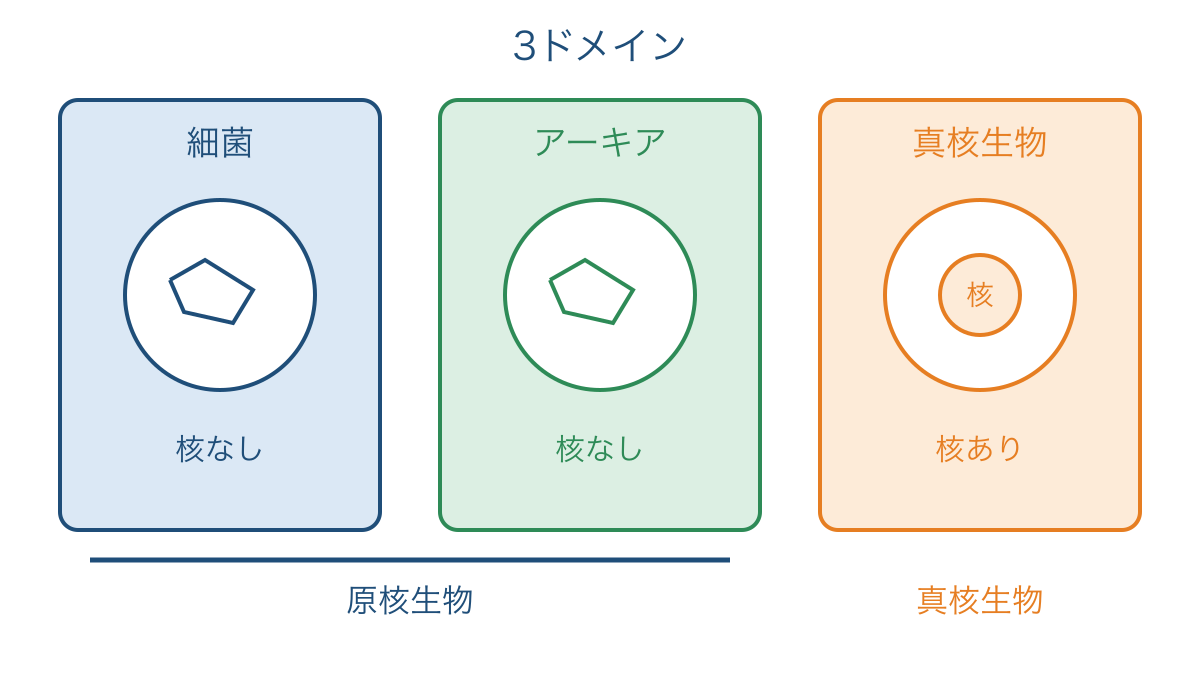 図1 核の有無と対応させて整理した3ドメイン