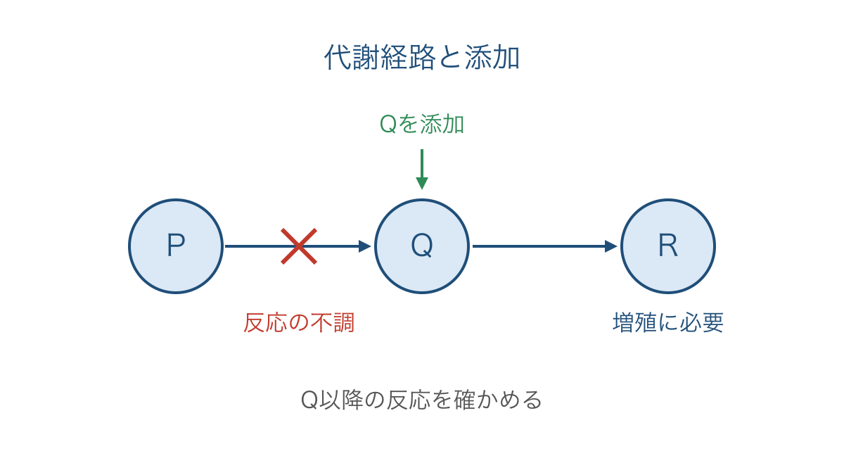 図3　代謝経路の途中にある物質を補って反応を調べる模式図