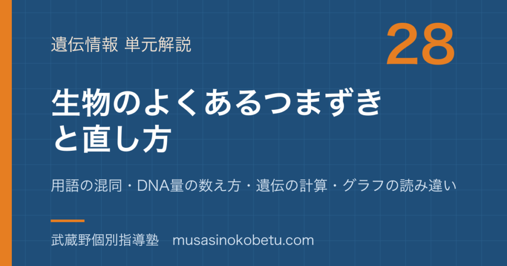 生物よくあるつまずきと直し方を図解で総まとめ用語の混同DNA量の数え方遺伝の計算グラフの読み違いのアイキャッチ | 武蔵野個別指導塾 【生物】よくあるつまずきと直し方を図解で総まとめ—用語の混同・DNA量の数え方・遺伝の計算・グラフの読み違いのアイキャッチ 武蔵野個別指導塾