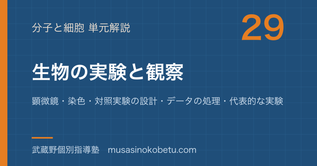 生物生物の実験と観察を図解で総まとめ顕微鏡染色対照実験の設計データの処理代表的な実験のアイキャッチ | 武蔵野個別指導塾 【生物】生物の実験と観察を図解で総まとめ—顕微鏡・染色・対照実験の設計・データの処理・代表的な実験のアイキャッチ 武蔵野個別指導塾