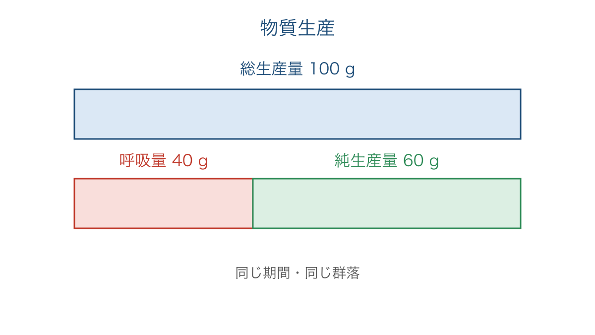 図2 総生産量を呼吸量と純生産量に分ける質量の図