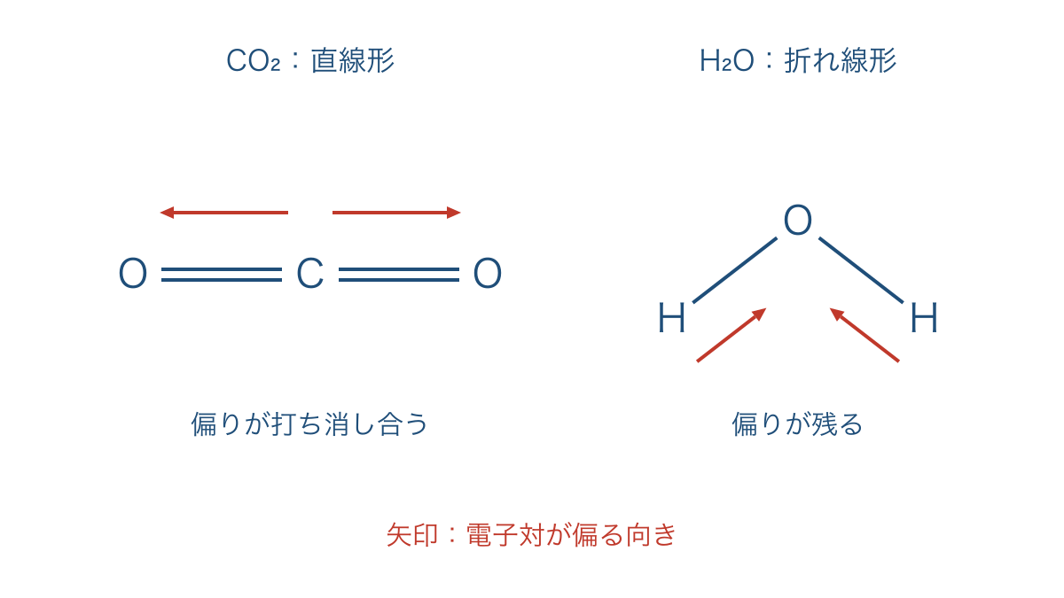 図3 直線形の二酸化炭素と折れ線形の水の電子の偏り