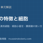 生物基礎生物の特徴と細胞を図解で総まとめ原核細胞と真核細胞細胞小器官顕微鏡の使い方のアイキャッチ | 武蔵野個別指導塾 【生物基礎】生物の特徴と細胞を図解で総まとめ—原核細胞と真核細胞・細胞小器官・顕微鏡の使い方のアイキャッチ 武蔵野個別指導塾