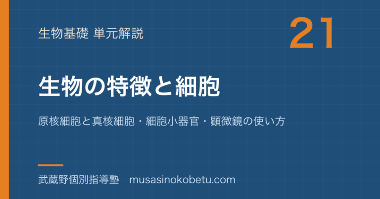 【生物基礎】生物の特徴と細胞を図解で総まとめ—原核細胞と真核細胞・細胞小器官・顕微鏡の使い方のアイキャッチ