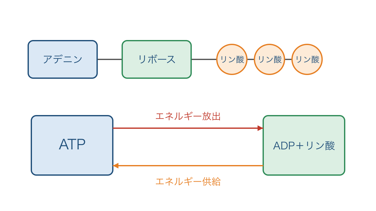 図1 ATPをつくる三つの部分とADPとの変化