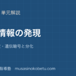 生物基礎遺伝情報の発現を図解で総まとめ転写翻訳遺伝暗号と分化のアイキャッチ | 武蔵野個別指導塾 【生物基礎】遺伝情報の発現を図解で総まとめ—転写・翻訳・遺伝暗号と分化のアイキャッチ 武蔵野個別指導塾