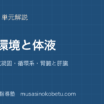 生物基礎体内環境と体液を図解で総まとめ血液血液凝固循環系腎臓と肝臓のアイキャッチ | 武蔵野個別指導塾 【生物基礎】体内環境と体液を図解で総まとめ—血液・血液凝固・循環系・腎臓と肝臓のアイキャッチ 武蔵野個別指導塾
