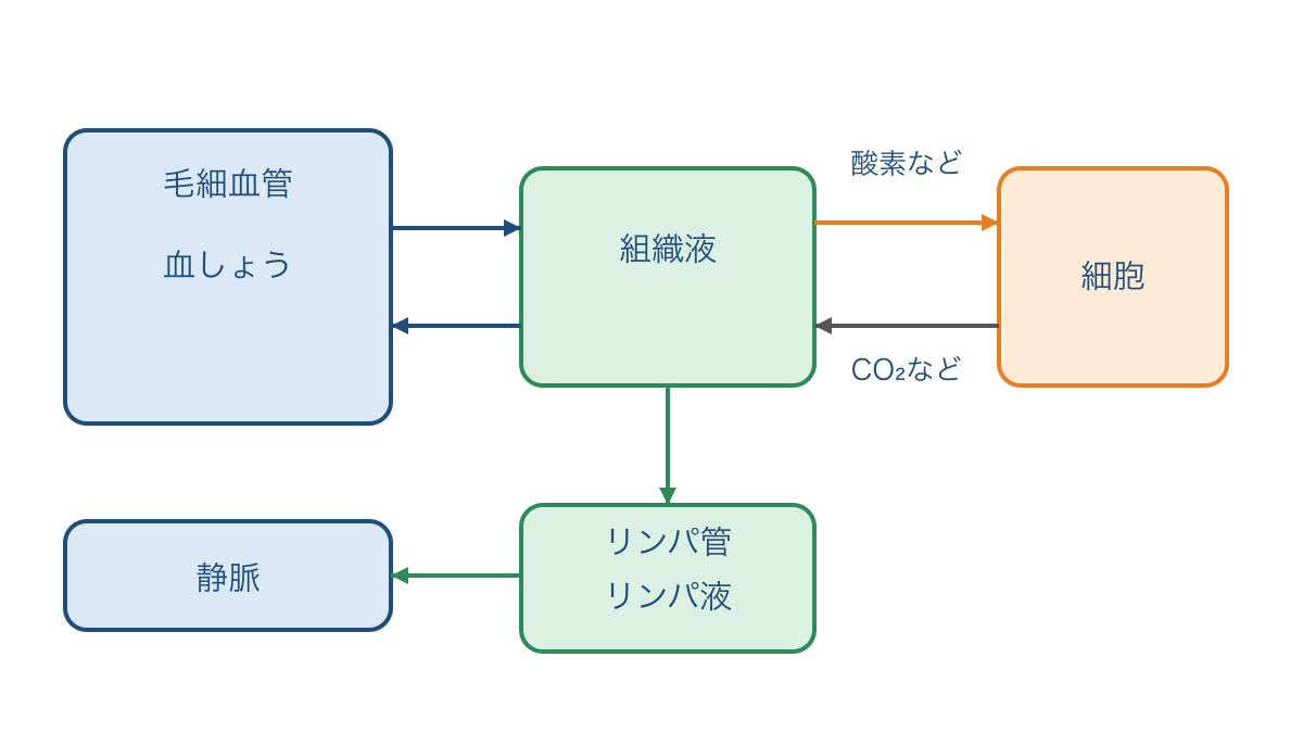 図1 血しょうから組織液とリンパ液へつながる経路