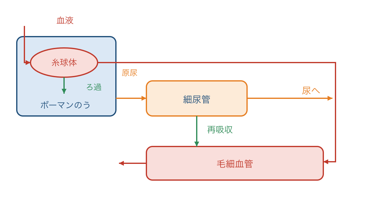 図3 ネフロンでのろ過と血液への再吸収の向き