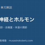 【生物基礎】自律神経とホルモンを図解で総まとめ—恒常性の調節・血糖量・体温の調節のアイキャッチ 武蔵野個別指導塾