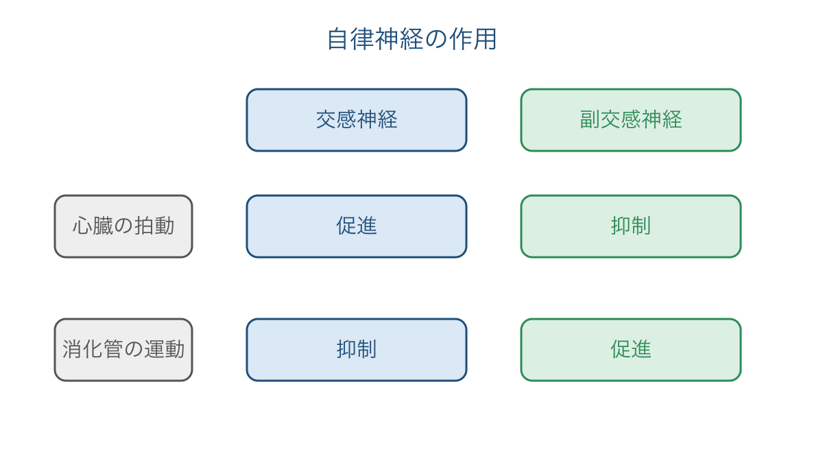 図1 心臓と消化管に対する交感神経と副交感神経の作用