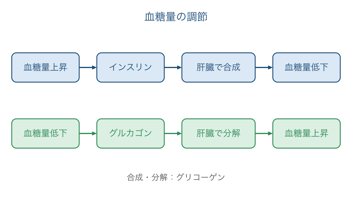 図2 血糖量の上昇と低下に応じて分かれるホルモンの経路