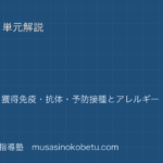 生物基礎免疫を図解で総まとめ自然免疫獲得免疫抗体予防接種とアレルギーのアイキャッチ | 武蔵野個別指導塾 【生物基礎】免疫を図解で総まとめ—自然免疫・獲得免疫・抗体・予防接種とアレルギーのアイキャッチ 武蔵野個別指導塾