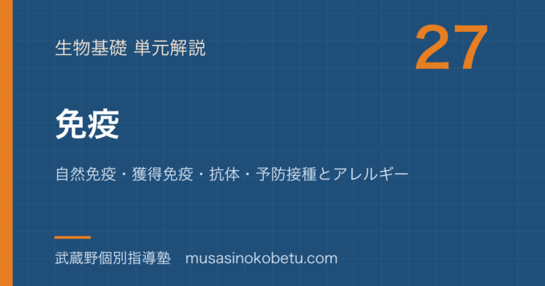 【生物基礎】免疫を図解で総まとめ—自然免疫・獲得免疫・抗体・予防接種とアレルギーのアイキャッチ